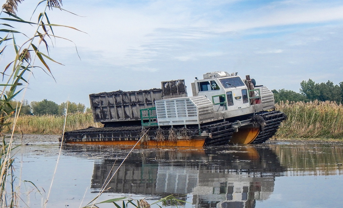 4 Essential Steps of Wetland Restoration